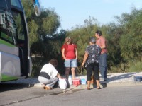 /album/azinhal-castro-marim-16-07-2011/p7160002-jpg/