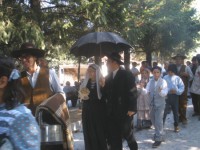 /album/maceira-fornos-de-algodres-31jul2011/p7310052-jpg/