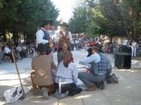 /album/maceira-fornos-de-algodres-31jul2011/p7310065-jpg/