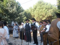 /album/maceira-fornos-de-algodres-31jul2011/p7310067-jpg/