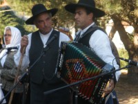 /album/maceira-fornos-de-algodres-31jul2011/p7310075-jpg/